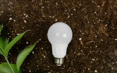 Efficienza energetica: cosa significa davvero e come applicarla nella vita di tutti i giorni