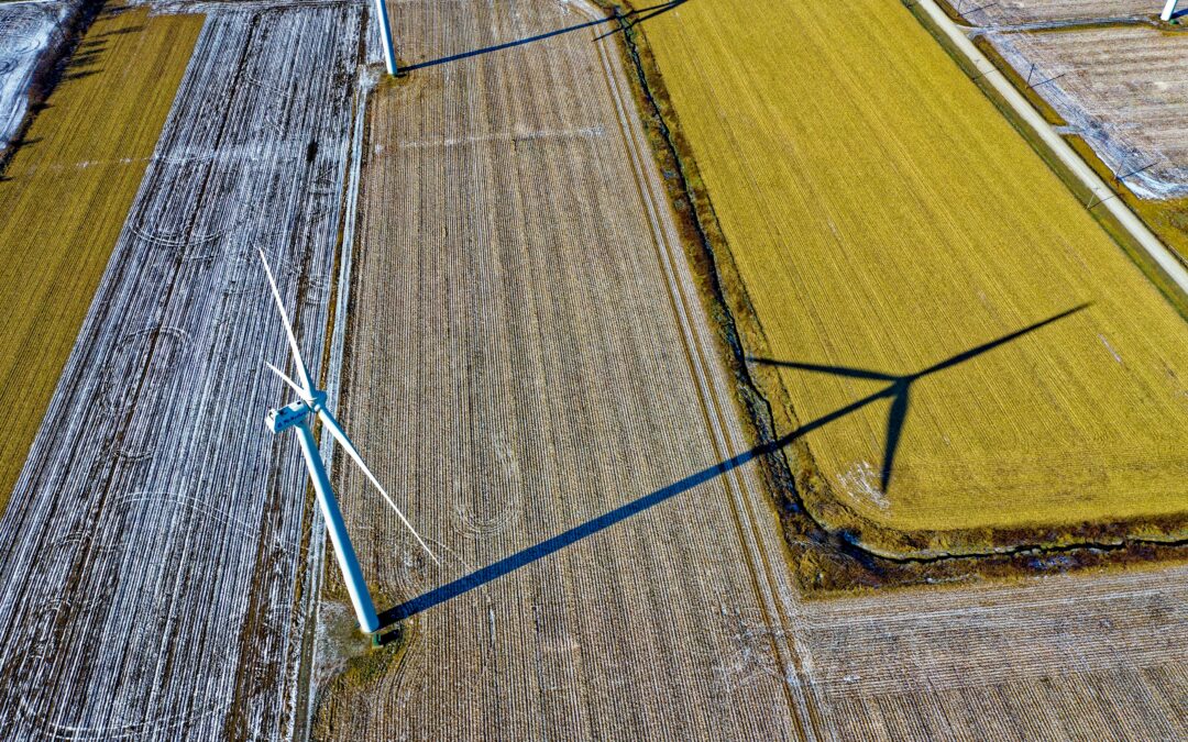Energia verde e offerte sostenibili: come scegliere un fornitore di luce e gas davvero pulito